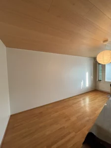 Seinän tasoitus ja maalaus